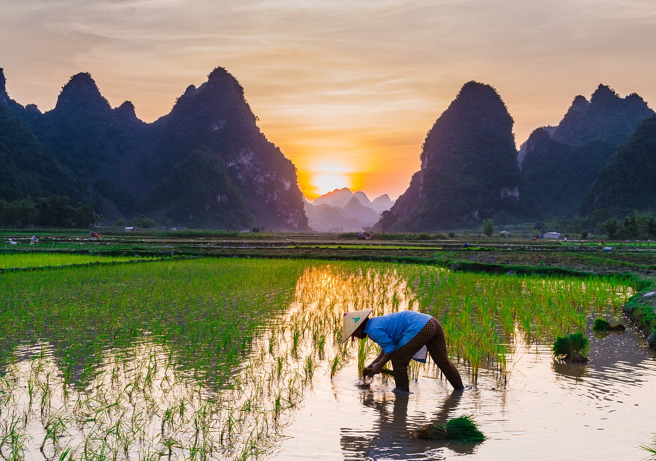 From Terrace Rice Field To Trails of Heritages